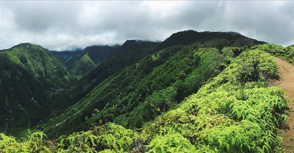 The Waihe’e Ridge.