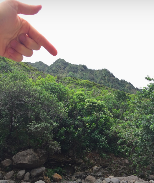 I ascended from this peak, down to sea level, along the mountain side.