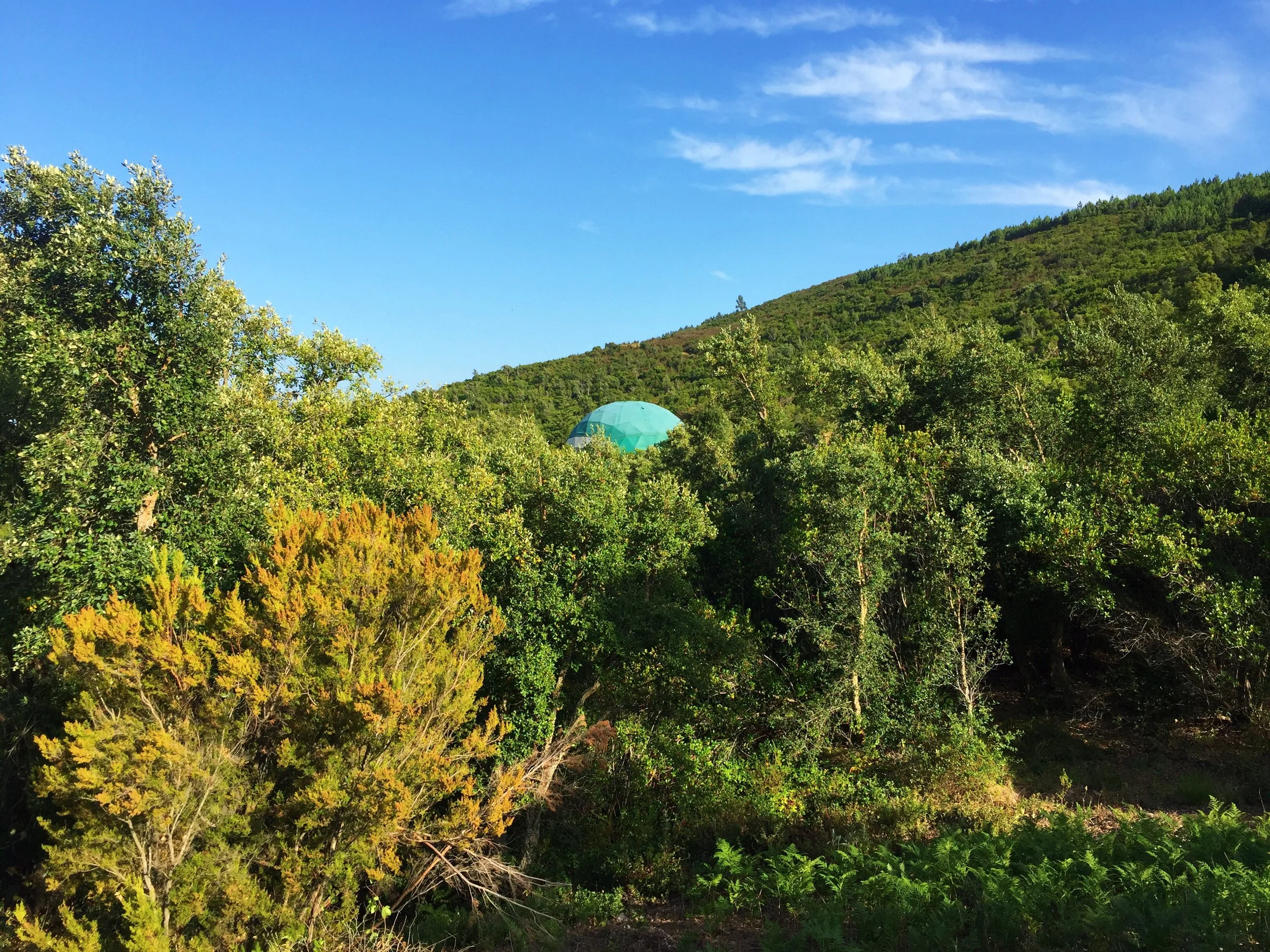 Views of the main workshop dome peeking out of the trees.