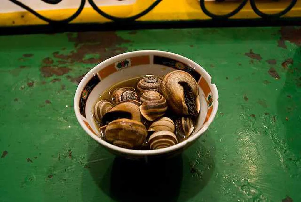 Snails in Marrakech