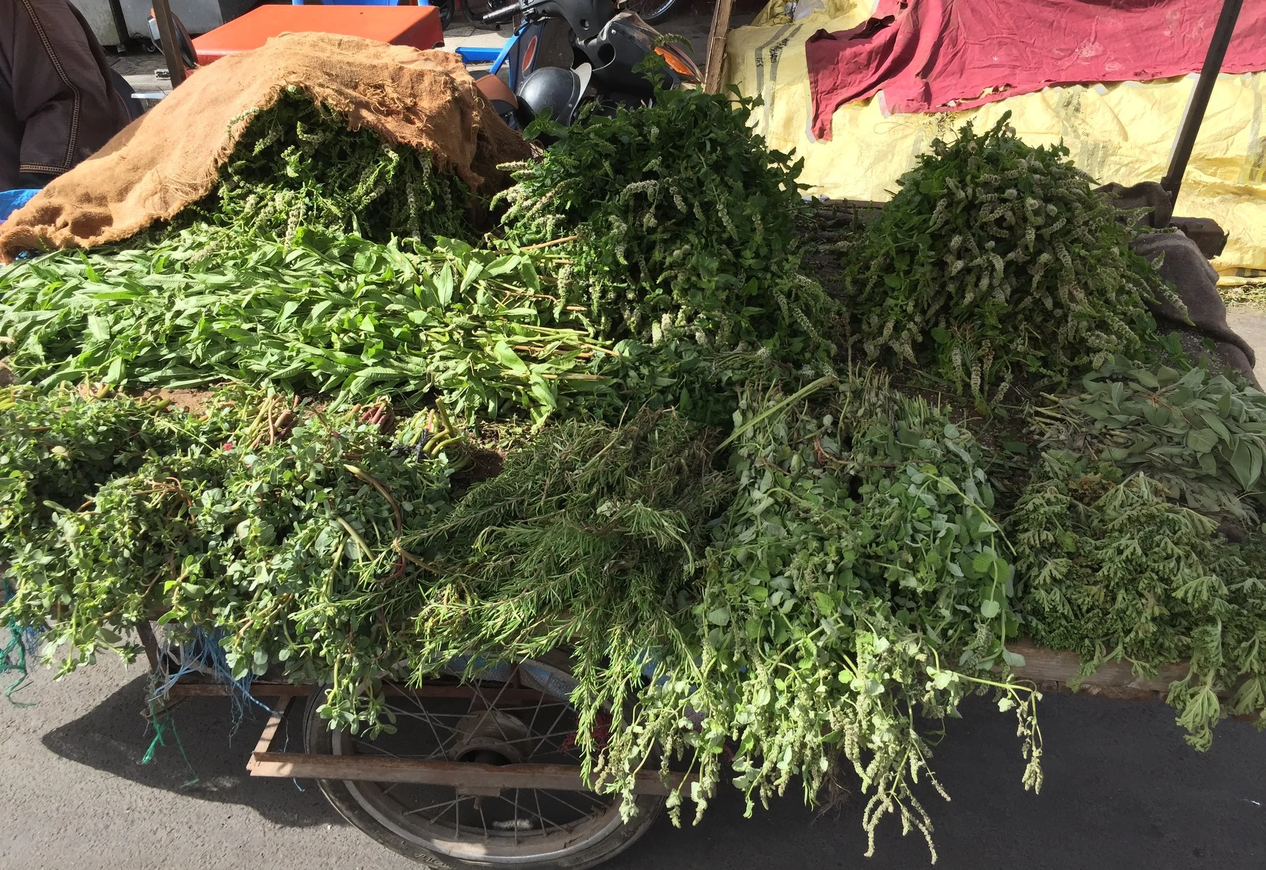 Trolly of fresh herbs in Marrakech.