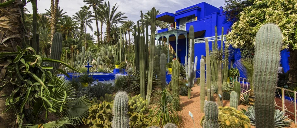 Speaking of gardens, this was one of the most majestic gardens in Marrakech: Jardins Majorelle. I love cacti!