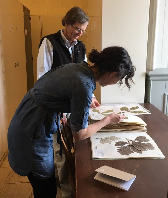 Dave Barrington and I at the University of Vermont Pringle Herbarium
