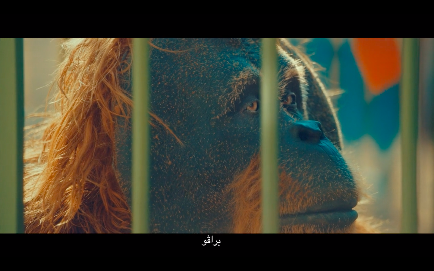Screen Shot 2019-09-30 at 8.50.32 AM.png