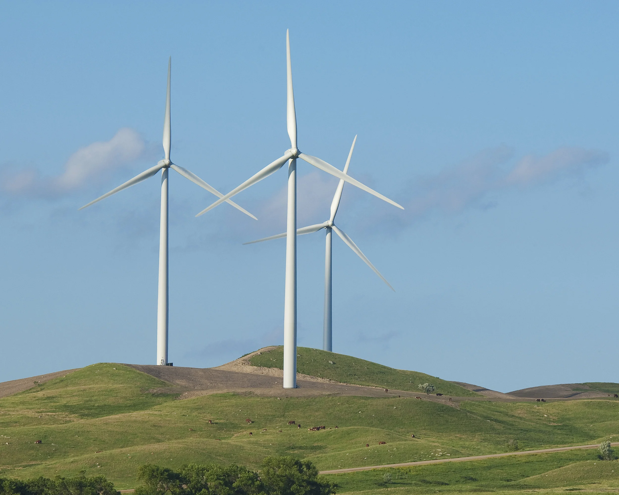 PRAIRIE WINDS.jpg