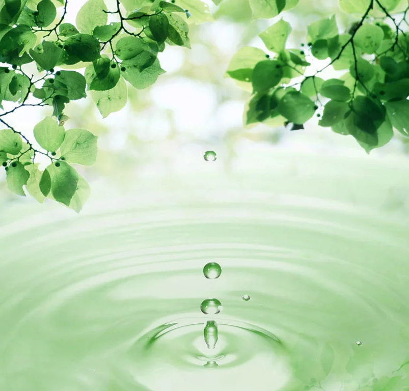 leaves-and-water-drop-apple-ipad-wallpaper.jpg