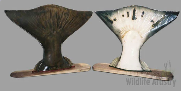 fish_halibuttails.jpg