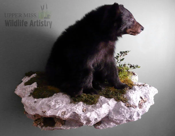 lifesize_bear3.jpg