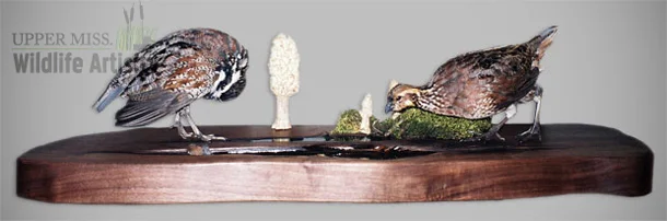 birds_waterscene.jpg