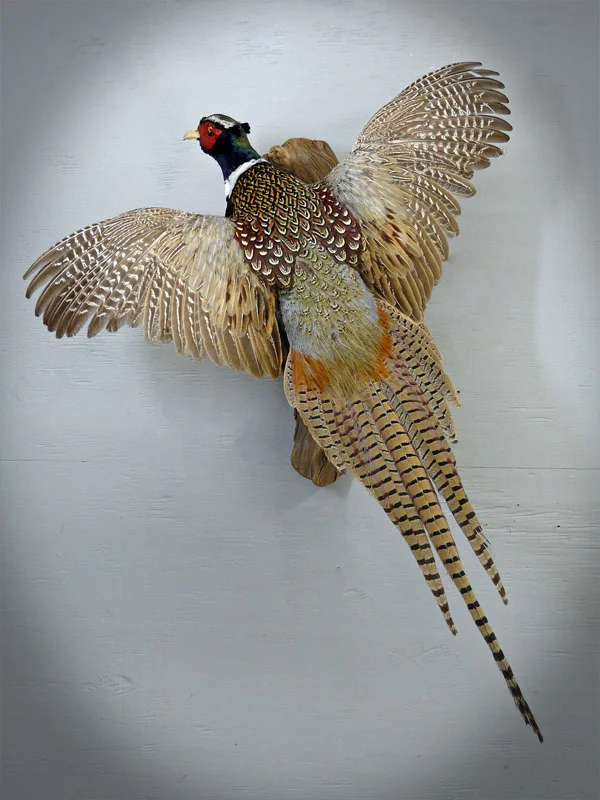 P1040891_edited-1.jpg