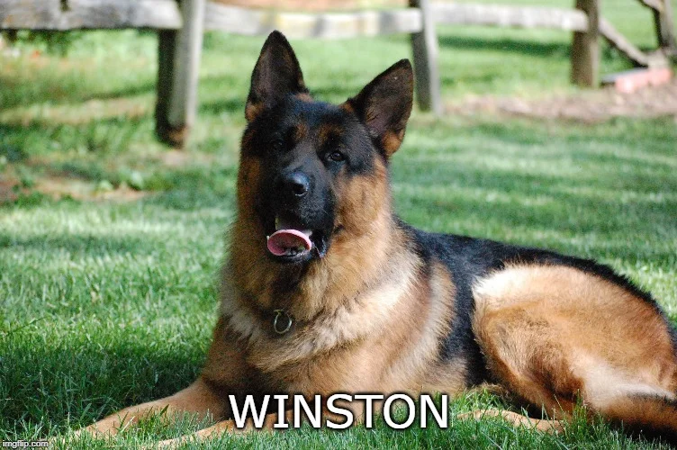 Winston.jpg