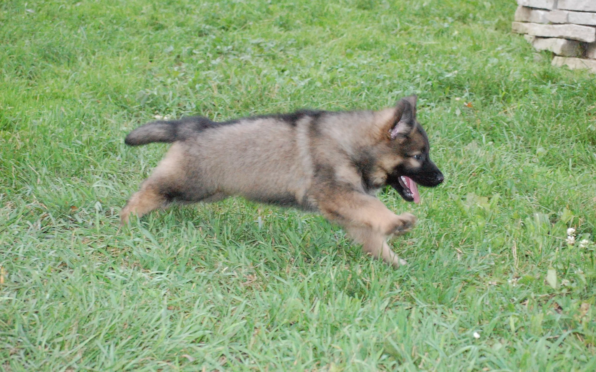 DSC_0089.JPG