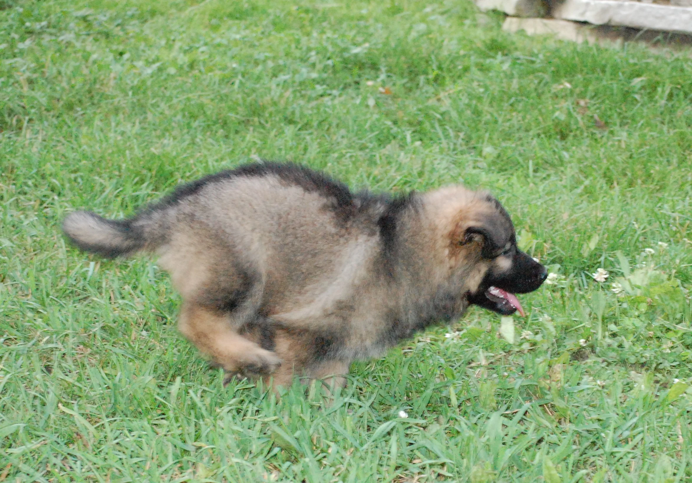 DSC_0091.JPG