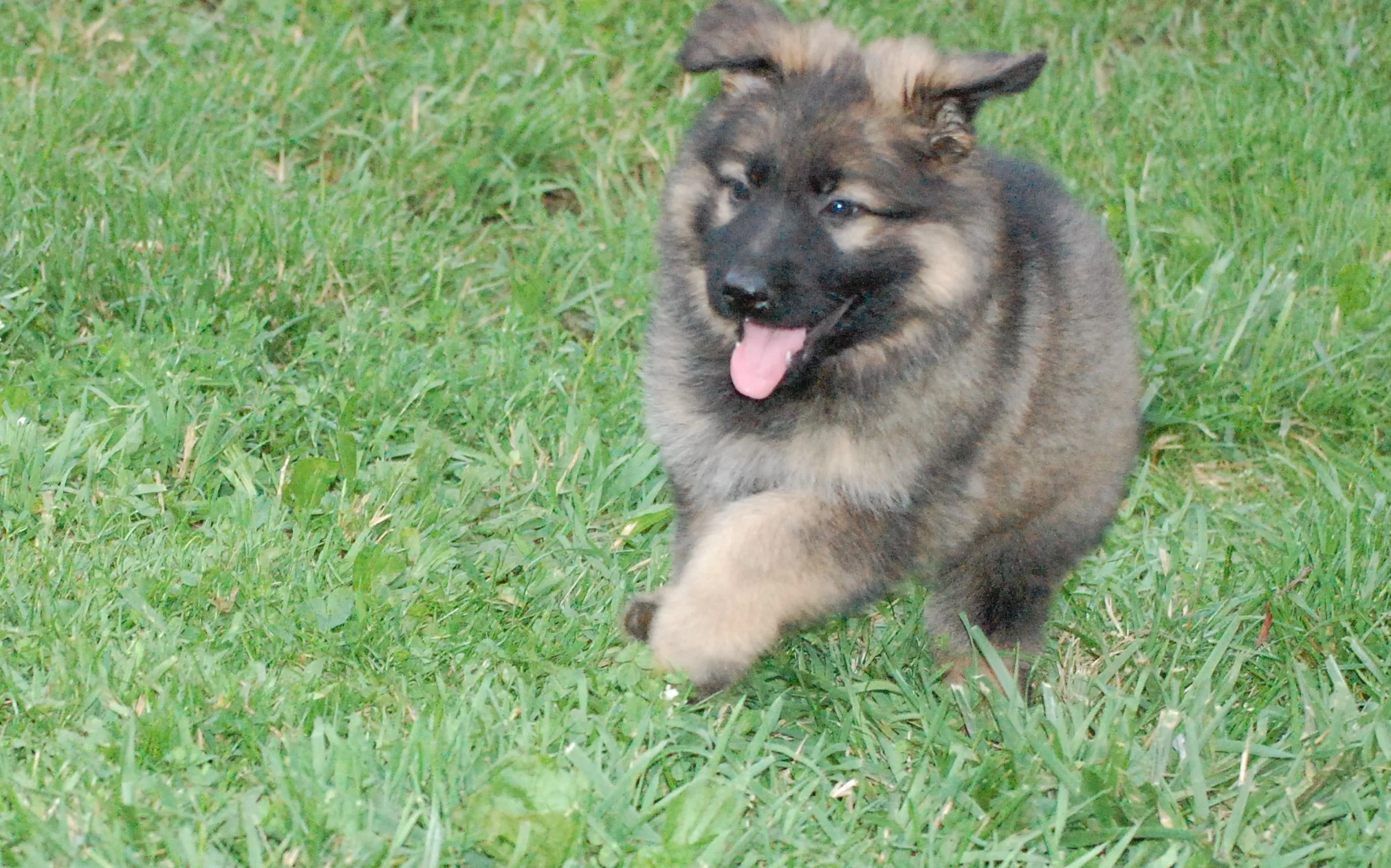 DSC_0092.JPG