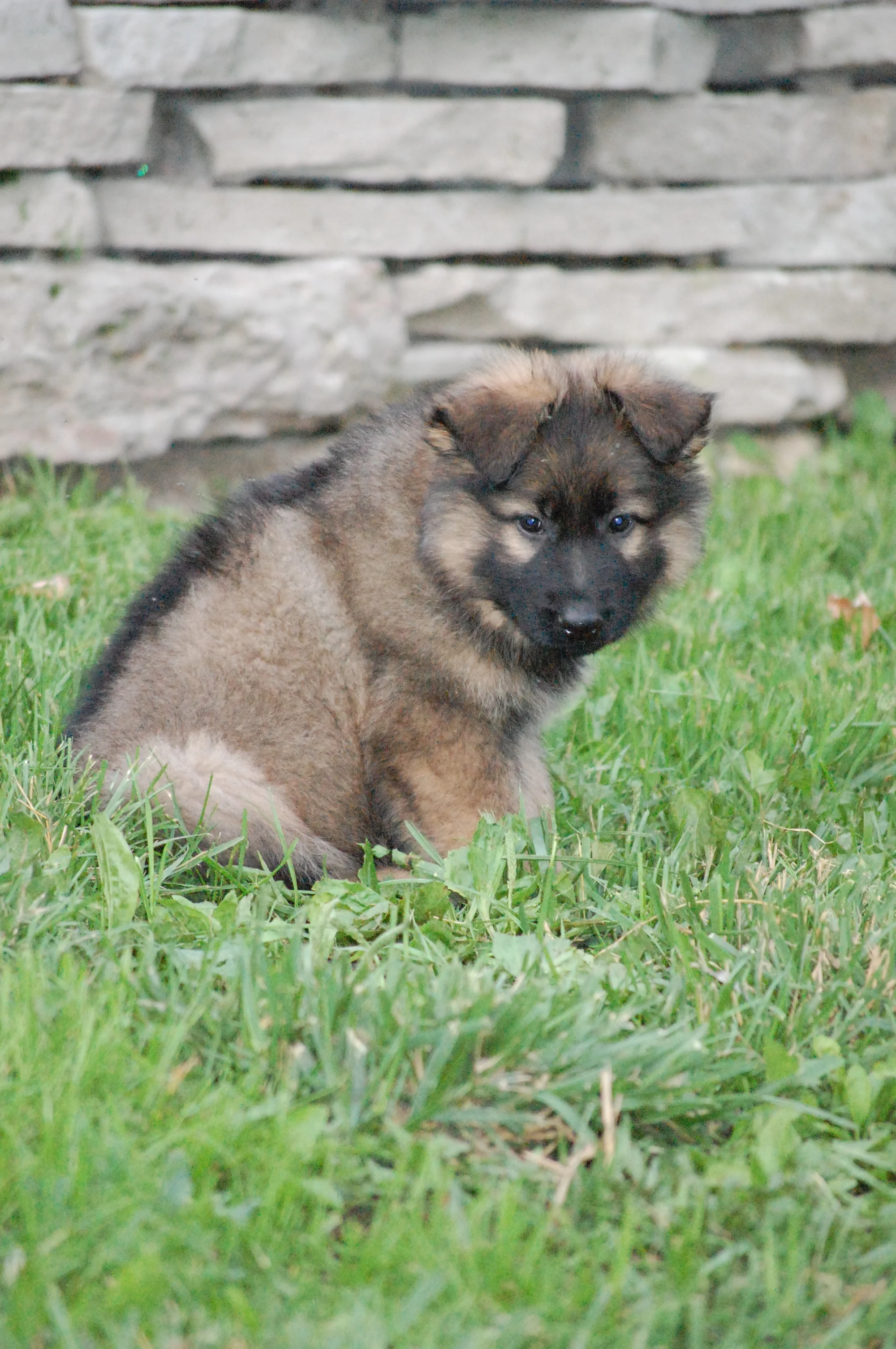 DSC_0099.JPG