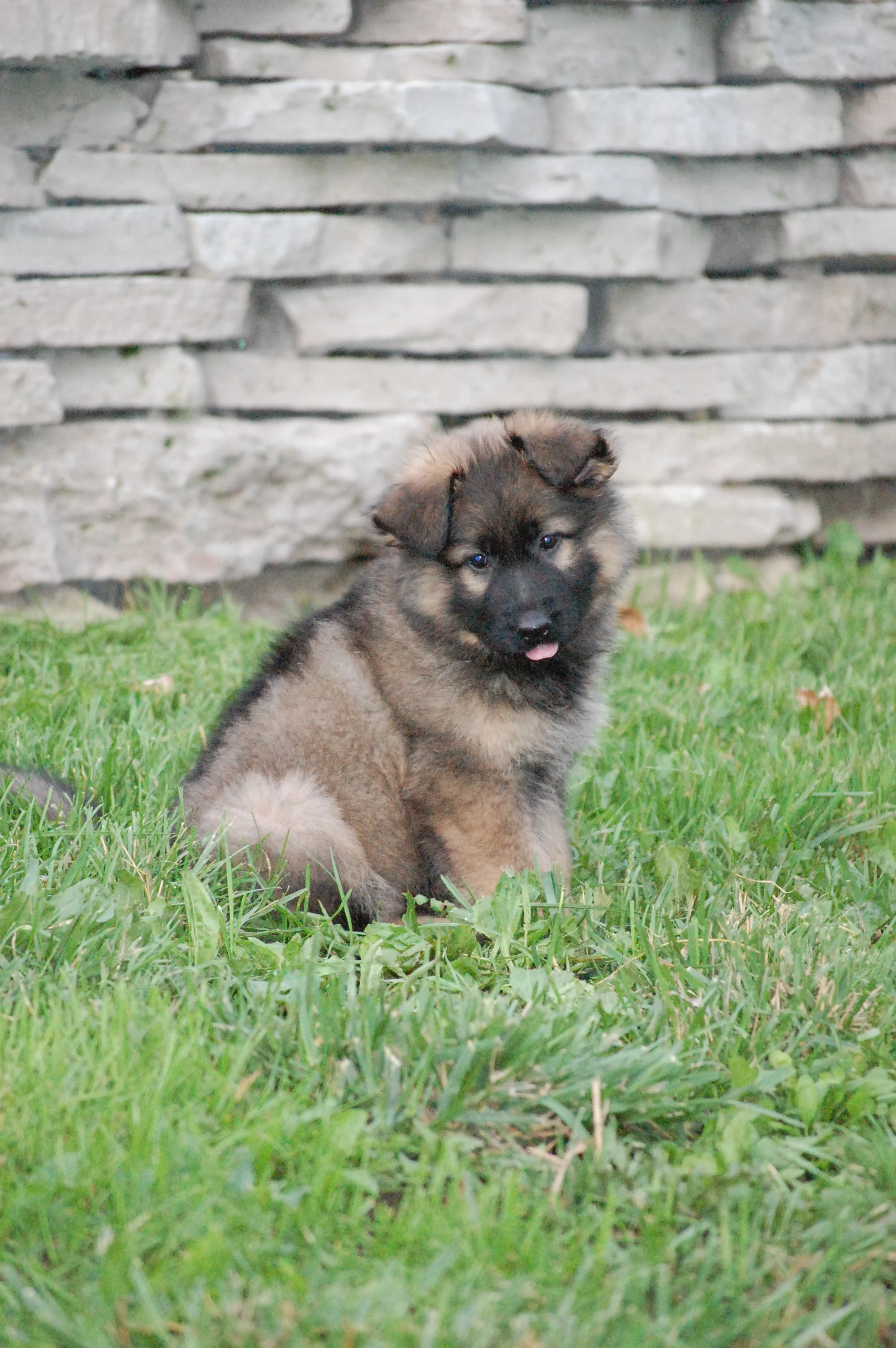DSC_0103.JPG
