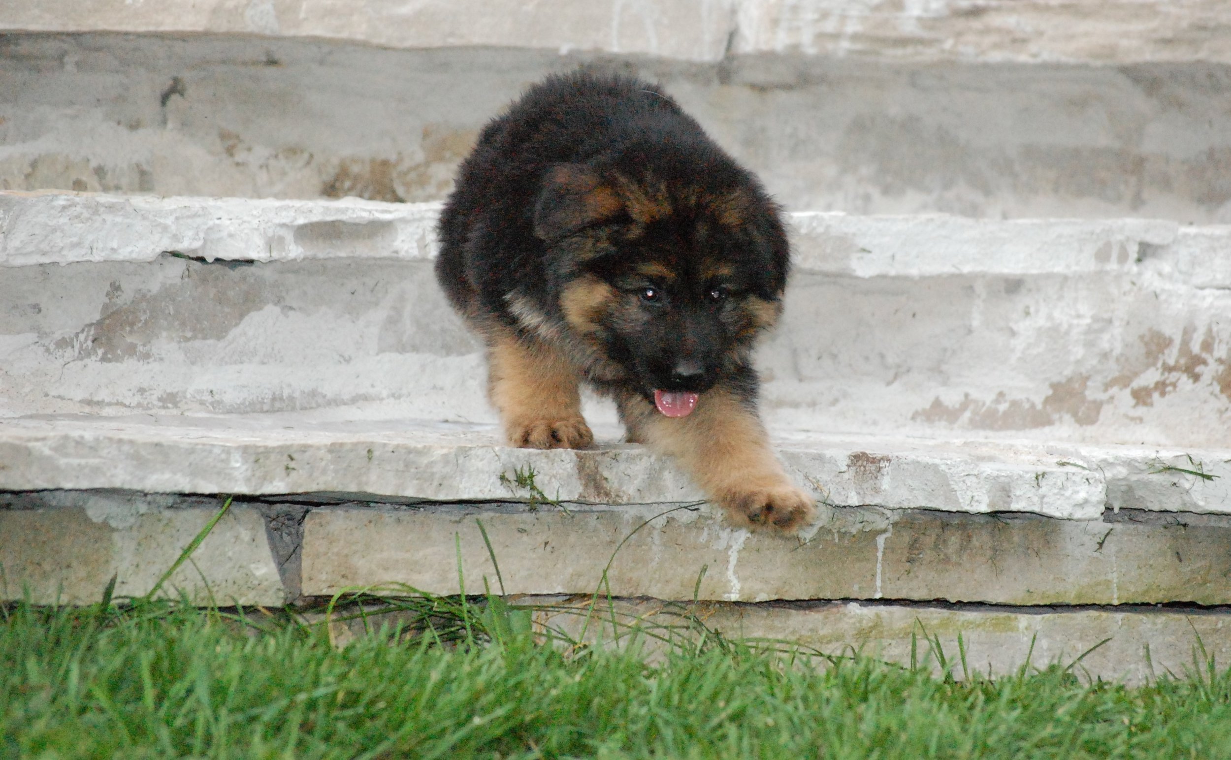 DSC_0105.JPG