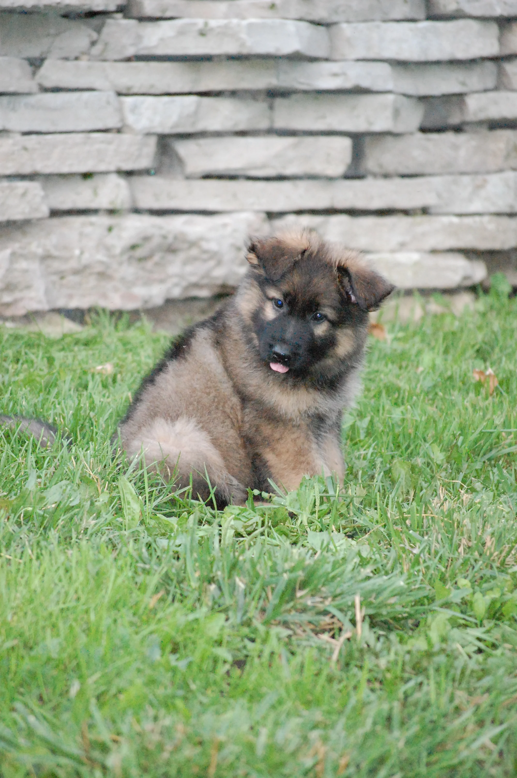 DSC_0104.JPG