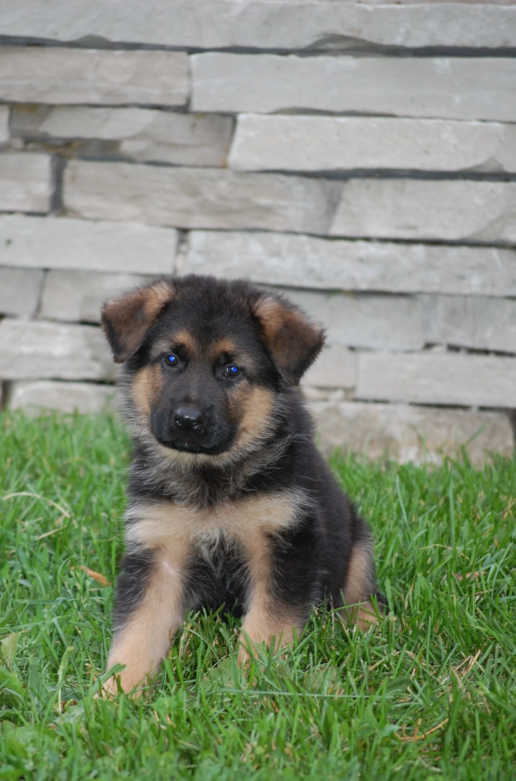 DSC_0133.JPG