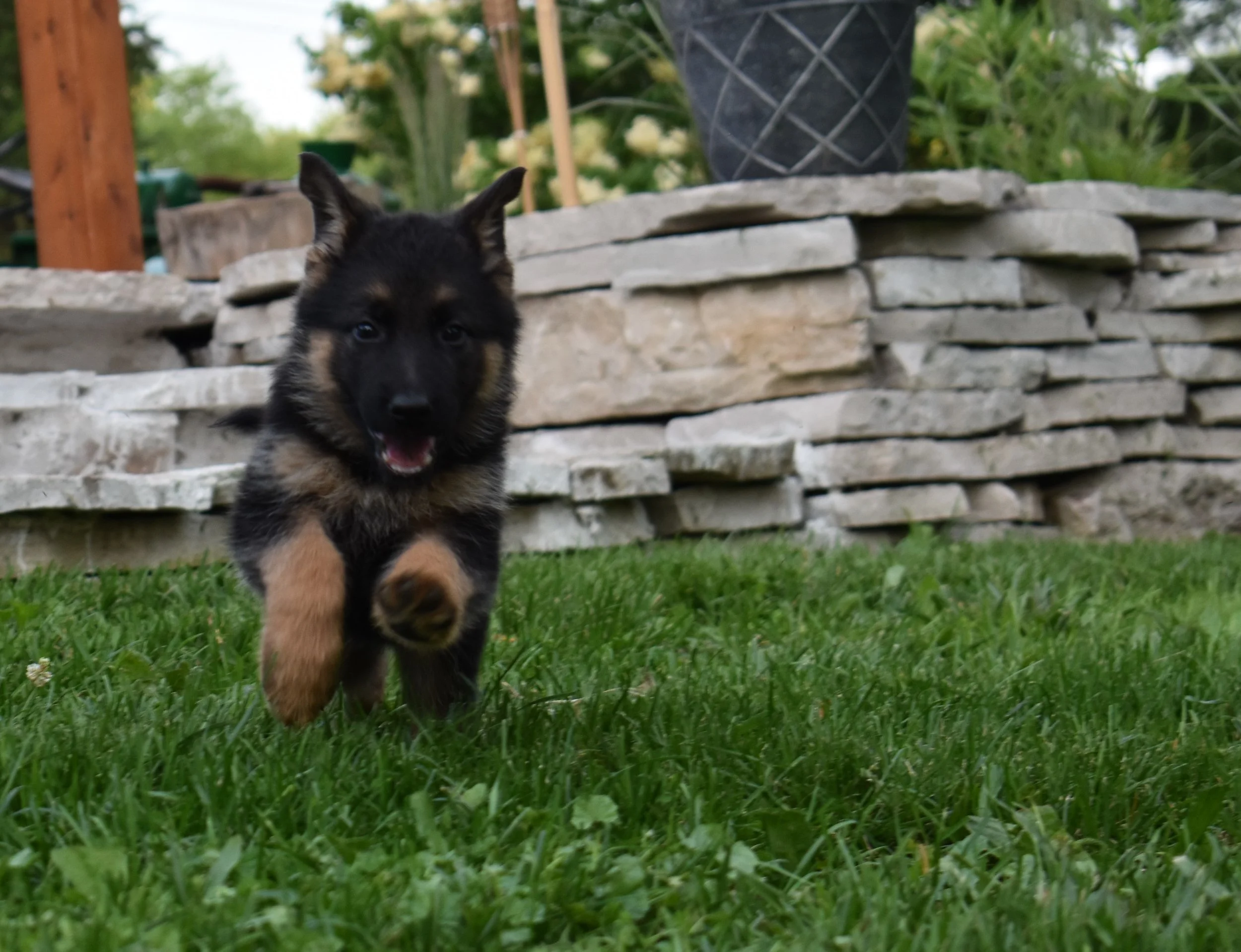 DSC_0596.JPG