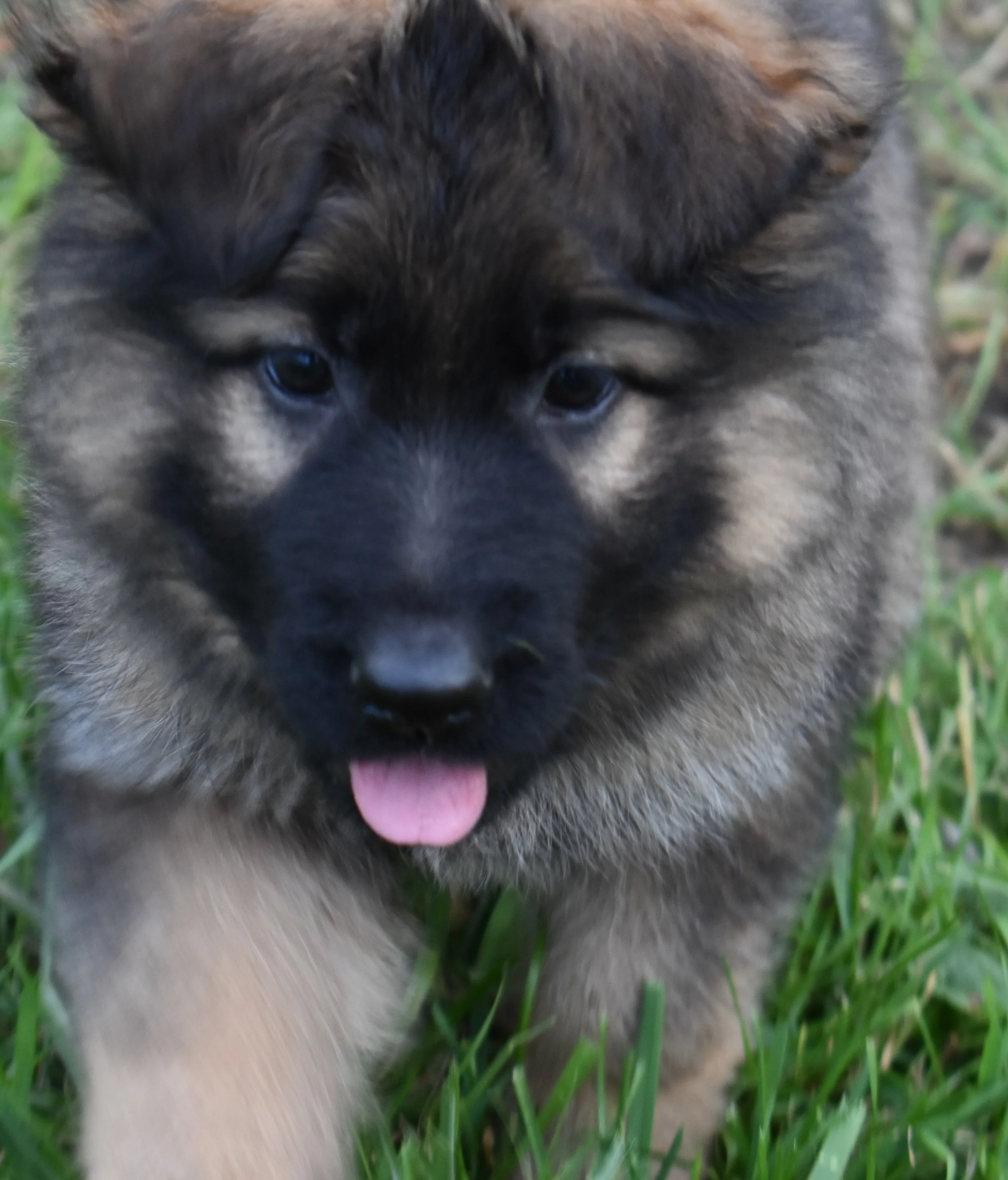DSC_0615.JPG