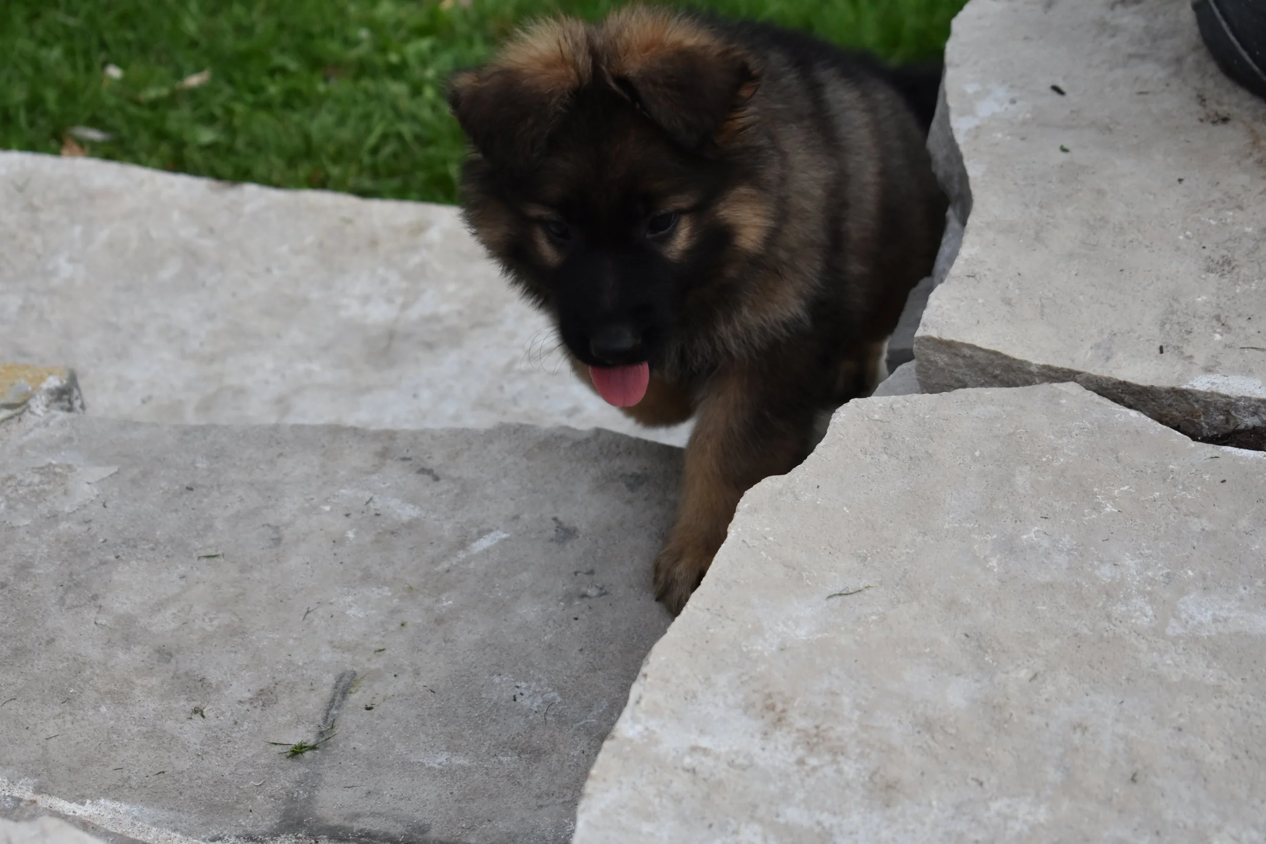 DSC_0622.JPG