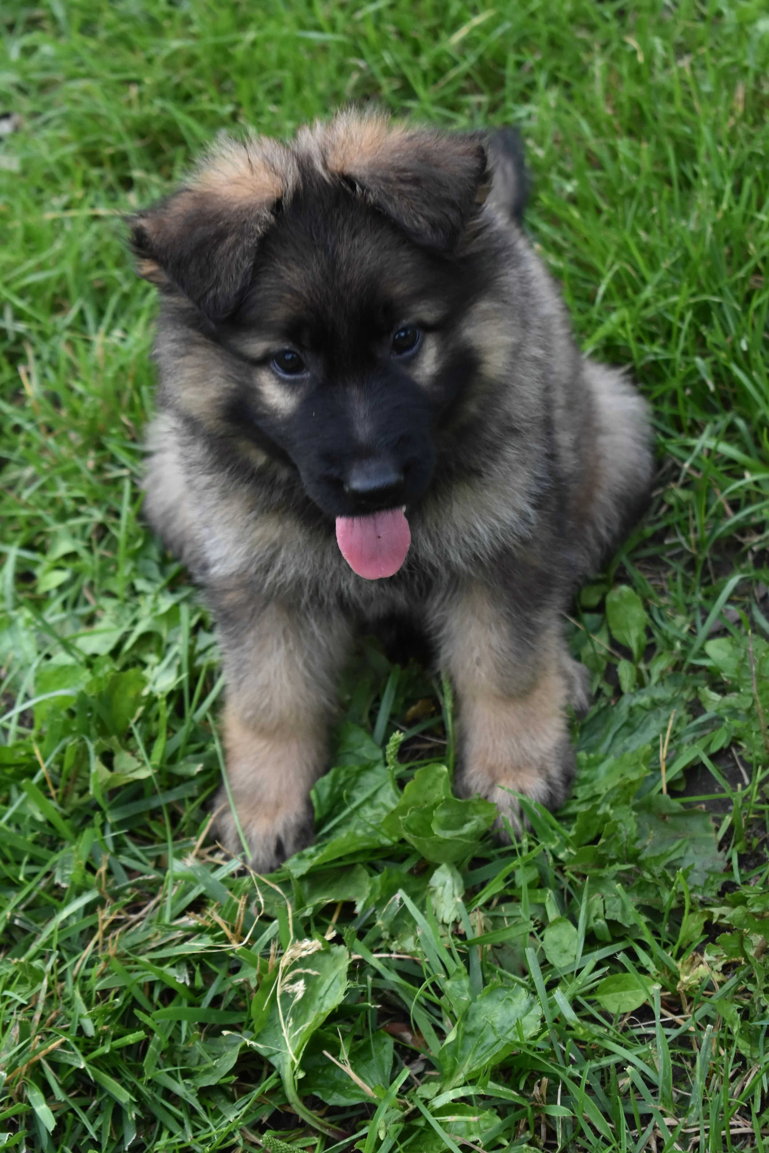 DSC_0630.JPG