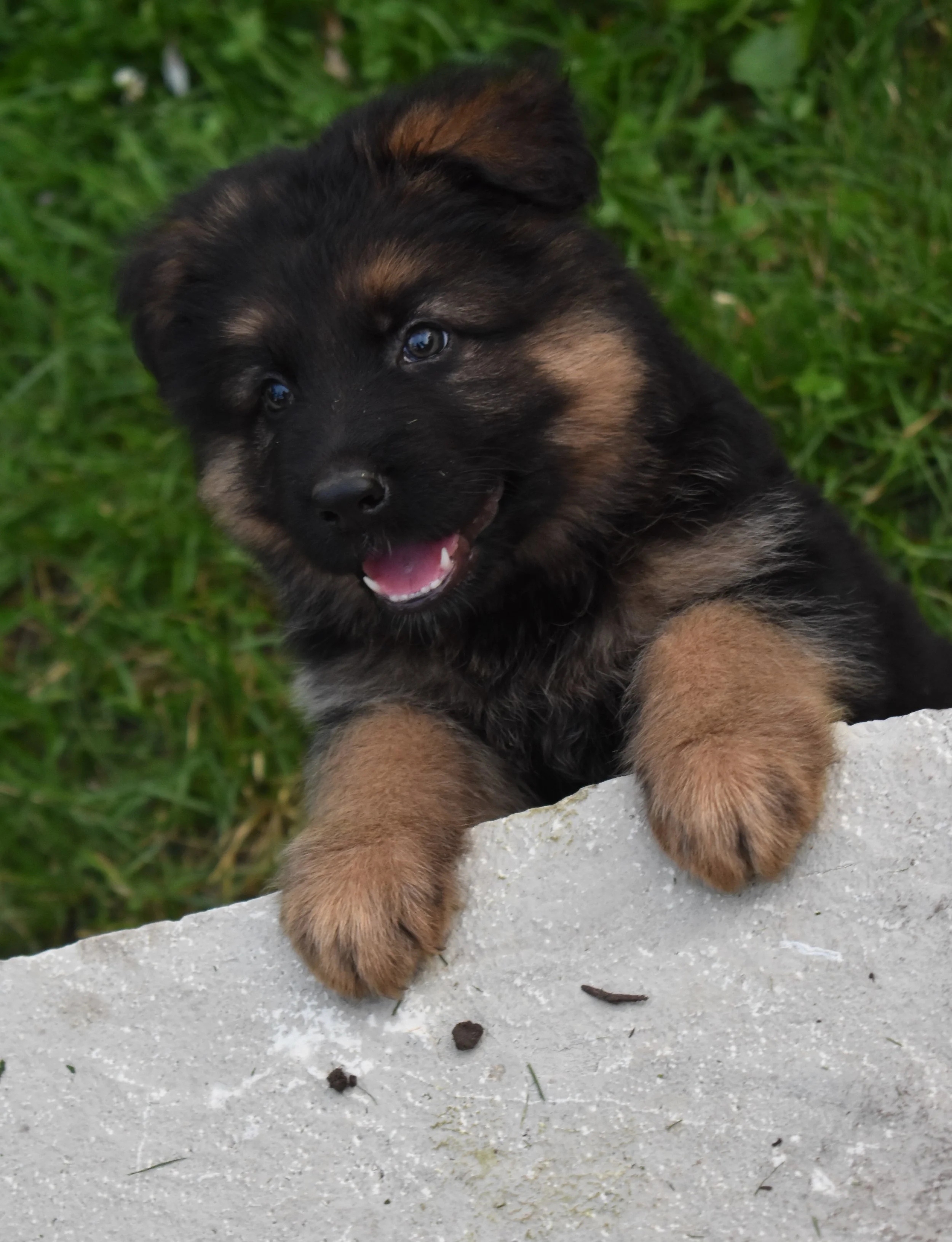 DSC_0694.JPG
