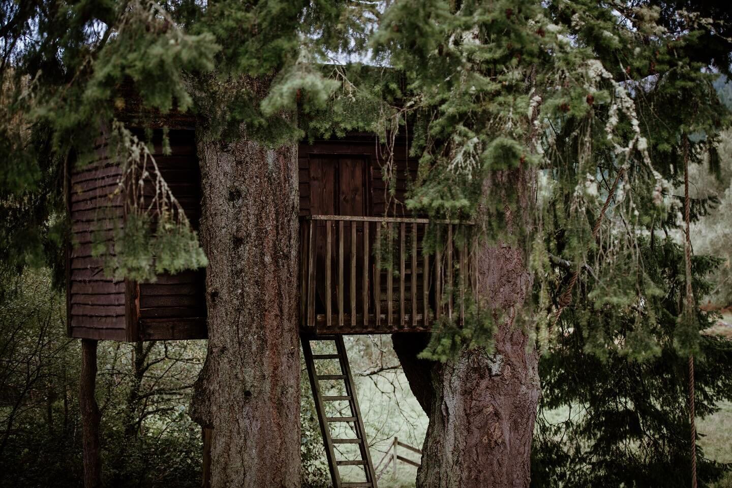 Nestled in the tall pines on our estate is the treehouse&hellip; fun for all imaginations ✨