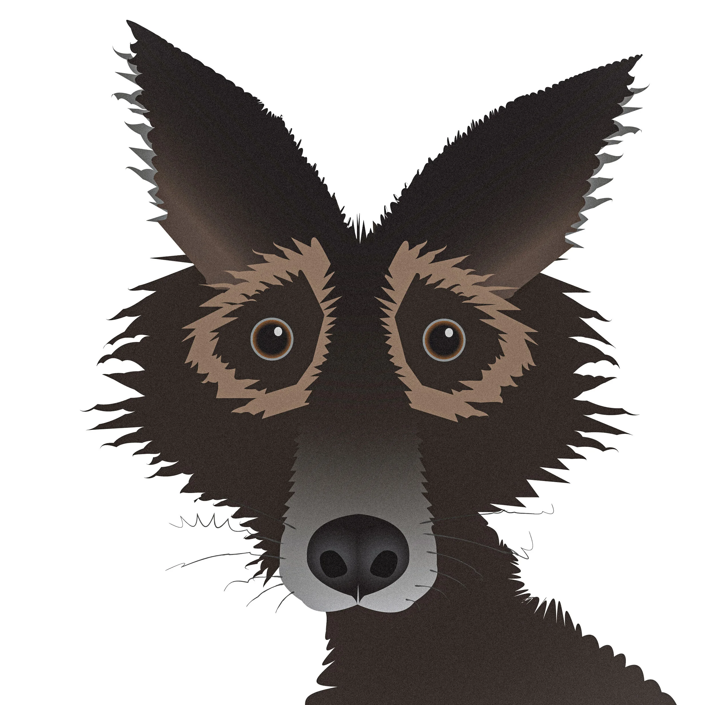 coyote.jpg