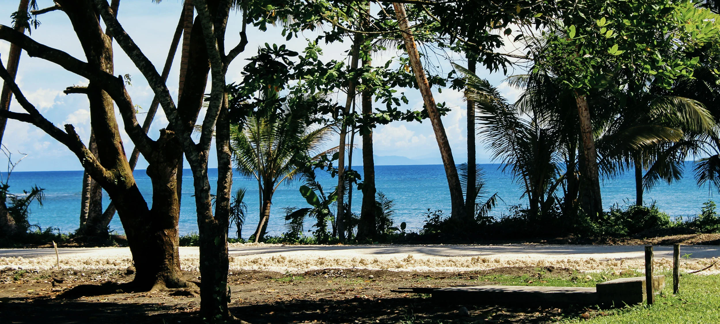 HomeHeader4.jpg