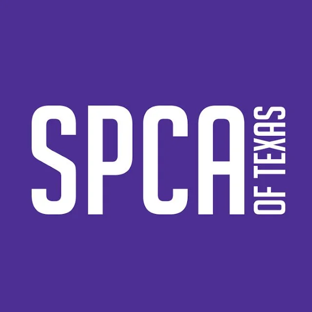 SPCA2BProfile2BPicture.jpg