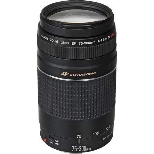 Canon EF 75-300mm f:4-5.6 III Telephoto Zoom Lens.jpg