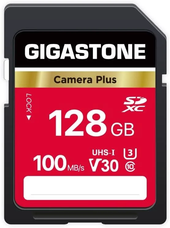 Gigastone 128GB SD Card.jpg