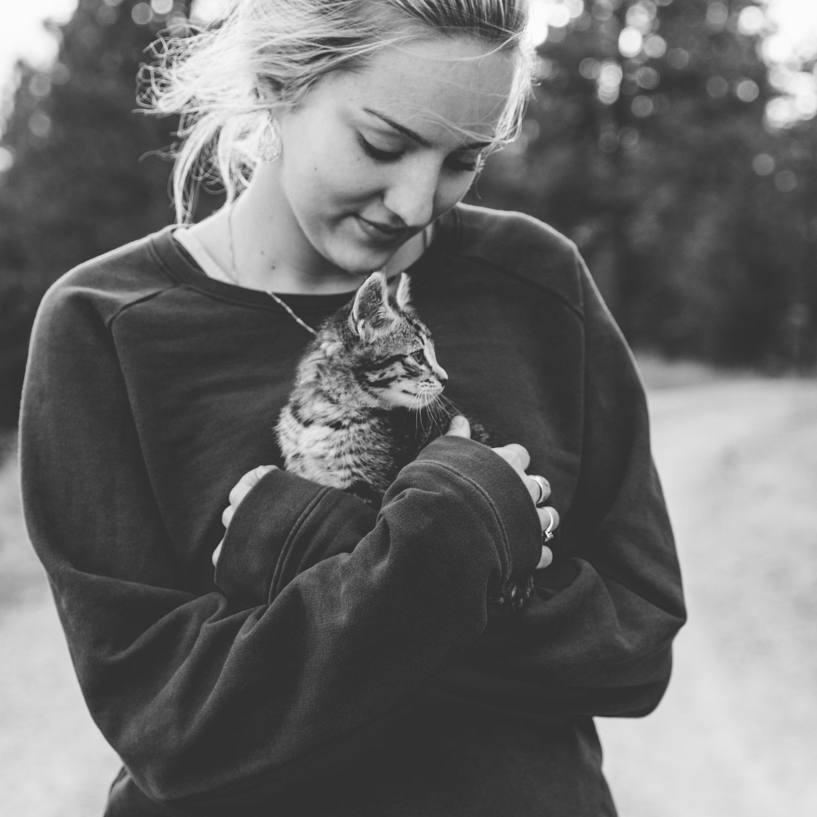 blur-care-cat-569170.jpg