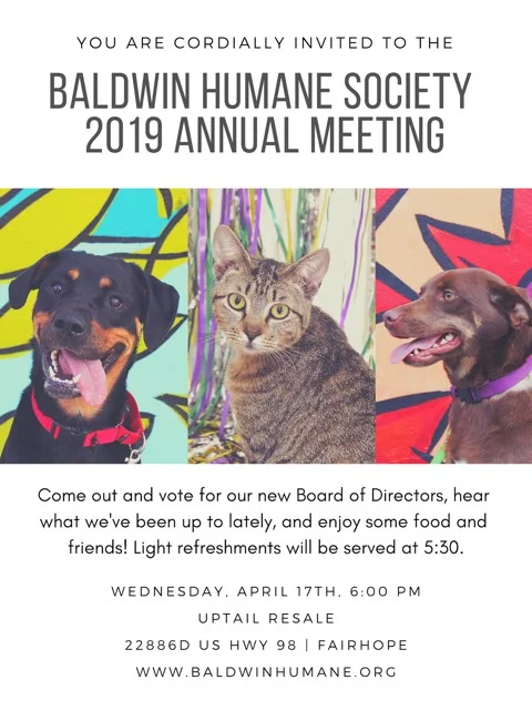 2019 Annual Meeting Invite .jpg