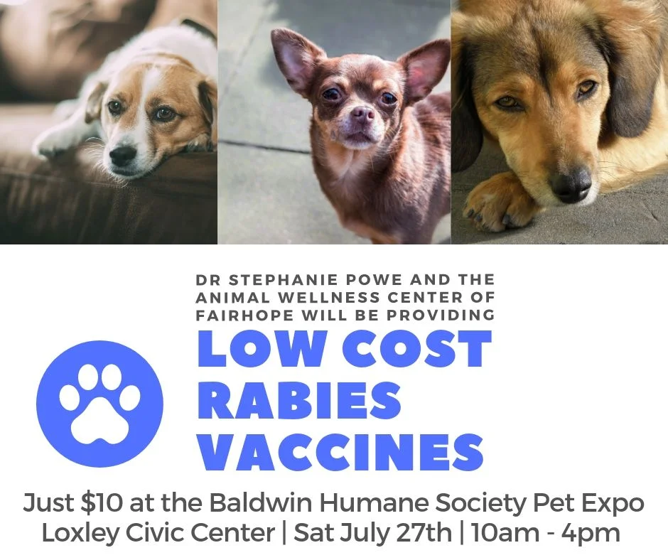 Animal Wellness Center of Fairhope Rabies Clinic.jpg