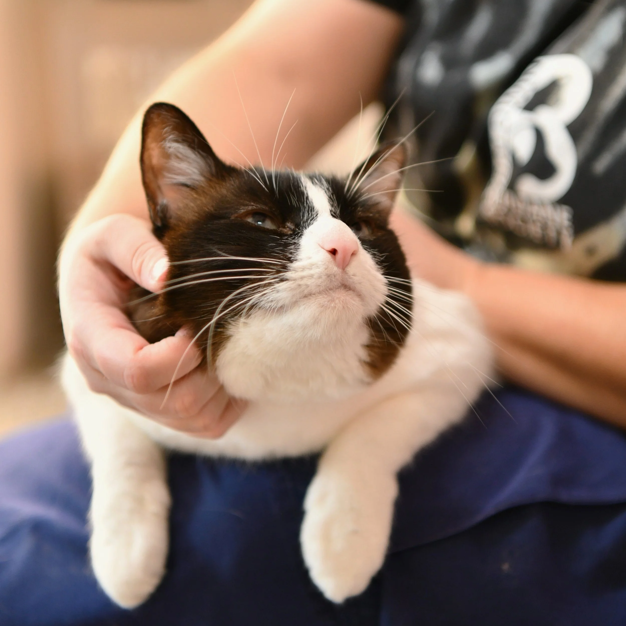DSC_7058.JPG