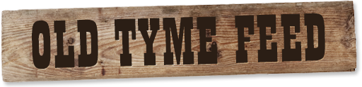 logo.png