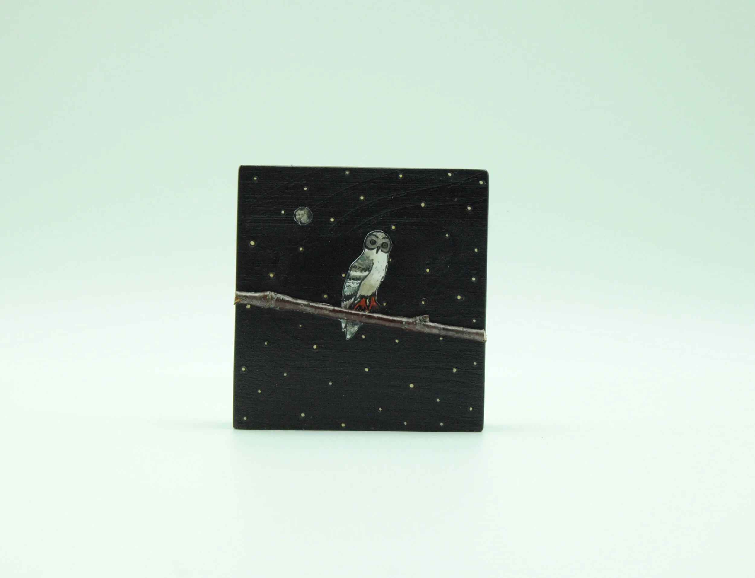 Owl190(3.5x3.5)2019.JPG