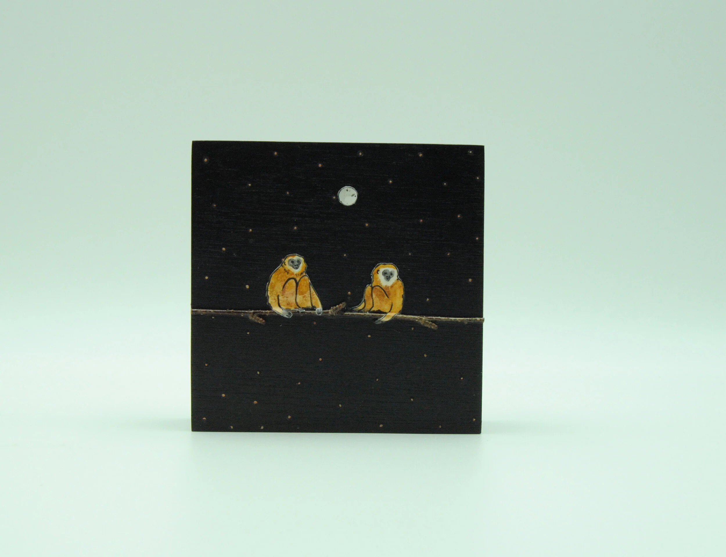 Gibbon1(5x5)2019.JPG