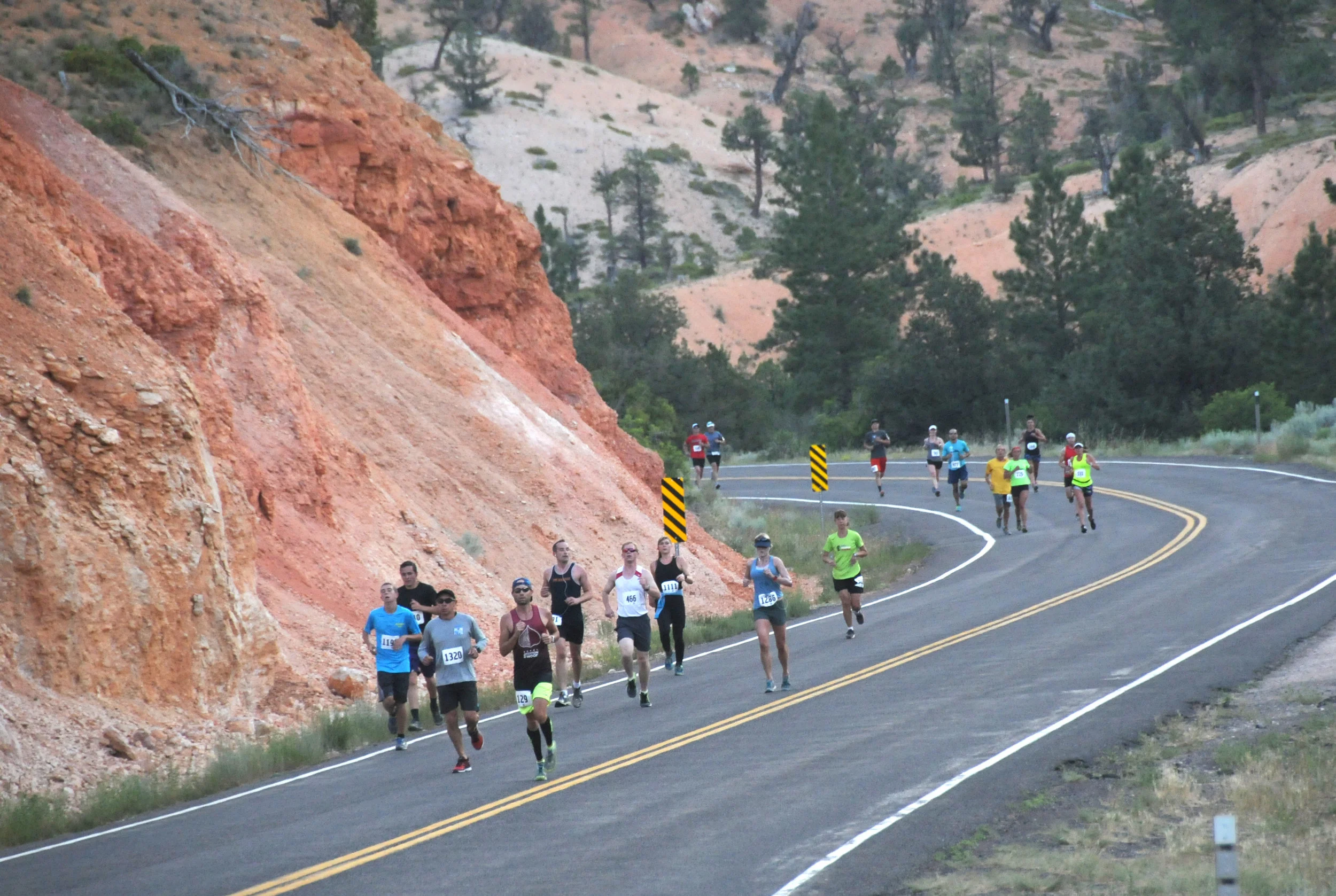 2019 Registration is OPEN! 