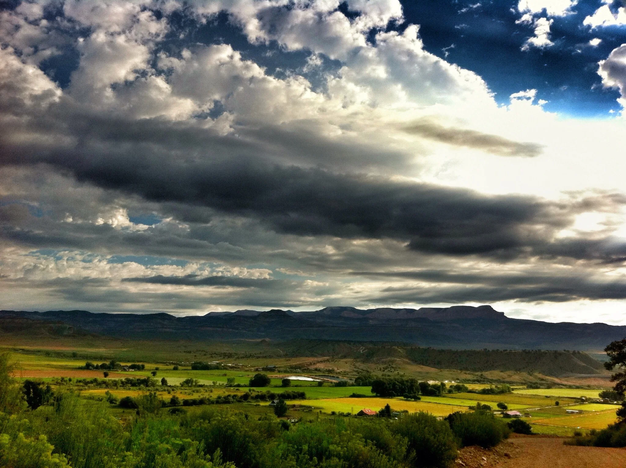 It’s Going to Be Green