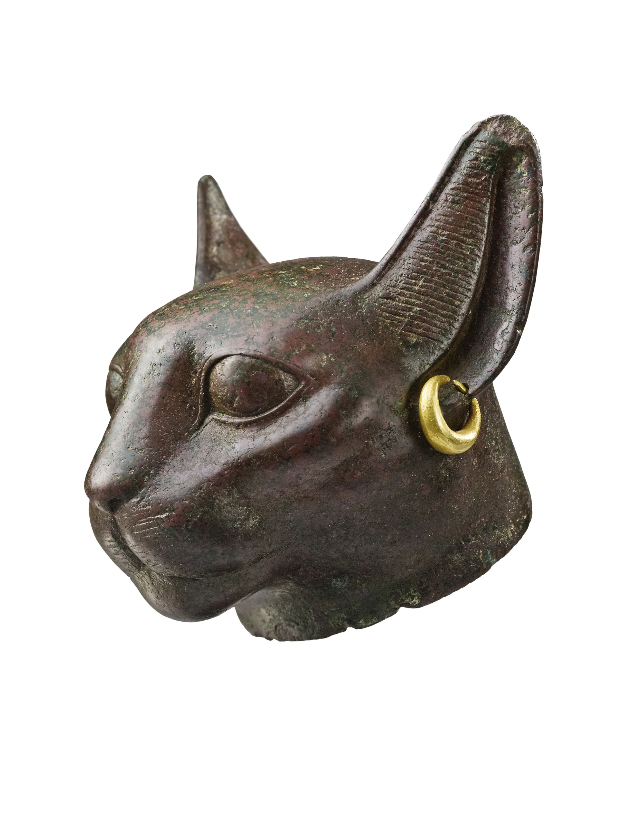 In ancient Egypt, the domestic cat embodied the qualities of the goddess Bastet, who was associated with female sexuality and fertility and often depicted surrounded by a litter of kittens. Bastet, whose cult seems to have emerged as early as the Second Dynasty, was closely linked to the kingship by the Old Kingdom, acting as the royal nurse in the Pyramid Texts. Despite her generally benevolent nature, Bastet revealed her more feral and aggressive traits in her role as the daughter of the sun god, Re, in which she was charged with killing his nemesis, the serpent Apophis. At the end of the second millennium BC, the large-scale donation of ex-votos by private individuals became increasingly popular within the cults of certain deities, peaking during the Ptolemaic Period. These votives included bronze statuettes and mummified sacred animals. A variety of creatures, including cats, were bred, mummified, and presented as offerings in temples before being interred in special catacombs. The mummies were usually buried in two types of coffins: either a narrow box that held a figure of the animal on the lid or a container in the shape of the animal itself. The size of this superlative head suggests that it most likely came from the latter type of coffin or a votive figure, which would have depicted a cat seated upright with its front paws together and its tail curled around its body. The broad, elegantly modeled face has an incised mouth and whiskers, while engraved pupils, carefully detailed eyelids, and inner canthi distinguish the eyes. The tall ears turn slightly forward, giving an appearance of alert attention. A deep groove runs down the outer edge of each ear, with incised parallel lines along the inner edge representing fine hairs. A gold earring adorns the proper left ear. During the Late and Ptolemaic periods, bronze was an especially popular medium for votive figures such as this cat, due to the ease with which they could be mass produced. Throughout Egyptian history, bronze figures were assembled from separately manufactured components. These elements were usually hollow-cast using wax models. Single-piece castings became increasingly common after the Third Intermediate Period due to the preference for simpler forms and the development of more fluid alloys. CONDITION Complete, in excellent condition, minor chips (lower neck, left ear especially). A gold earring adorns the left ear. PROVENANCE Ex- Mr. & Mrs. Leo S. Bing collection, USA, collected in the 1920’s -1940’s; Sotheby’s New York, 14 December 1994, lot 17. PUBLISHED Sotheby’s New York, 14 December 1994, lot 17; Art of the two Lands, Egypt from 4000 B.C. to 1000 A.D., New York, 2006, pp. 118-119, 200, no. 39. BIBLIOGRAPHY GUICHARD H., ed., Des animaux et des pharaons. Le règne animal dans l’Égypte ancienne , Lens, 2014, pp. 294 ff. LETELLIER B et al., Les animaux dans l’Egypte ancienne , Lyon, 1977, pp. 43 ff. PAGE-GASSER M., WIESE A.B., Egypte. Moments d’éternité. Art égyptien dans les collection privées, Suisse , Mainz/Rhine, 1997, pp. 276-277. SCOTT N. E., The Cat of Bastet, in Bulletin of the Metropolitan Museum of Art 17, 2, 1958, p. 3. WILKINSON R. H., The Complete Gods and Goddesses of Ancient Egypt , London, 2003, pp. 177-178. 17055