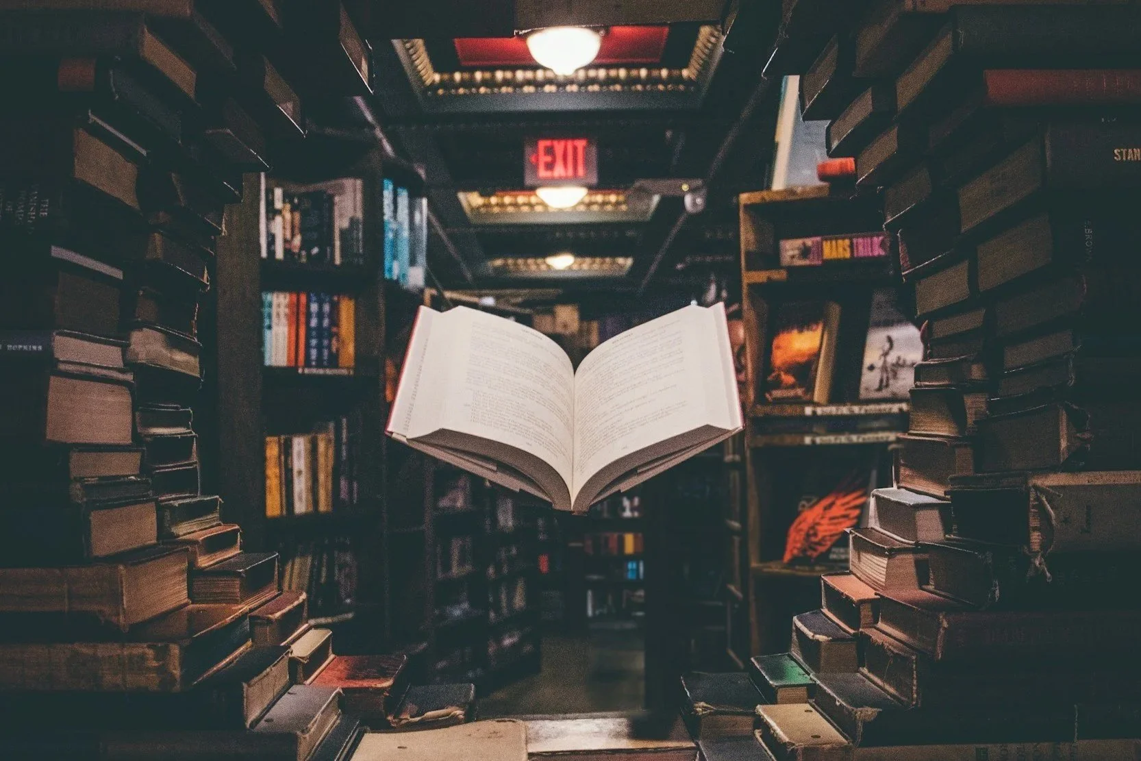 The Gifted High-Achiever’s Dilemma: When Academic Excellence Becomes an Inner Cage