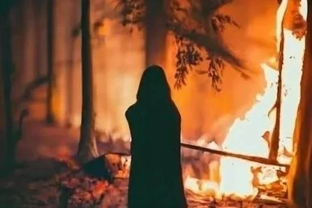 The Urge to Burn It All Down: Why the High-Achiever Sometimes Craves Rebellion and Recklessness