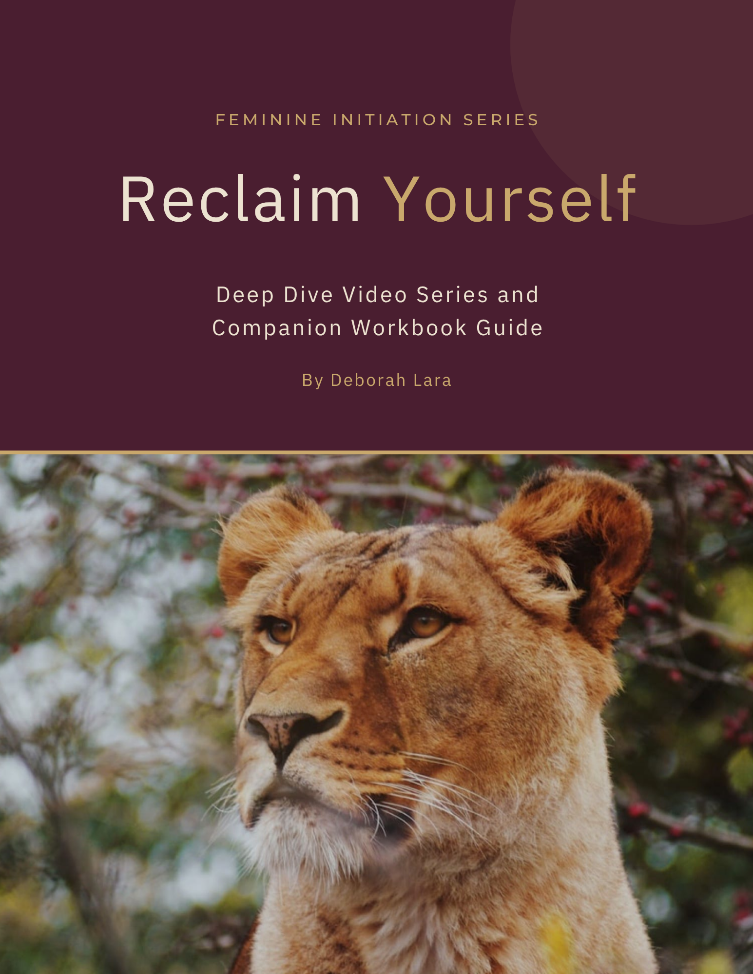 Reclaim Yourself Companion Guide.png