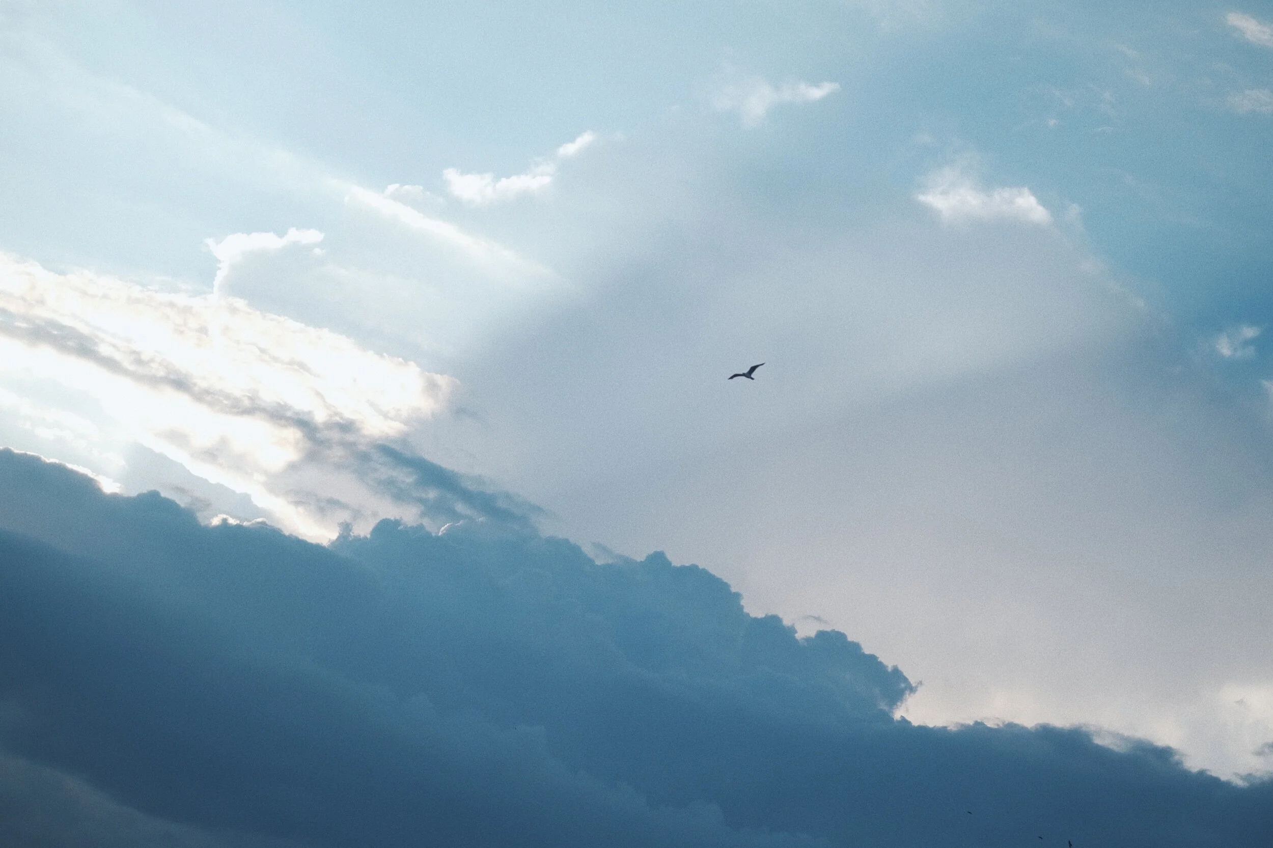 A701504A-A73C-4340-ABC3-49816DE3C0DB-DF937D13-CBD5-40FC-B383-57C5D0DC7F0A.jpeg