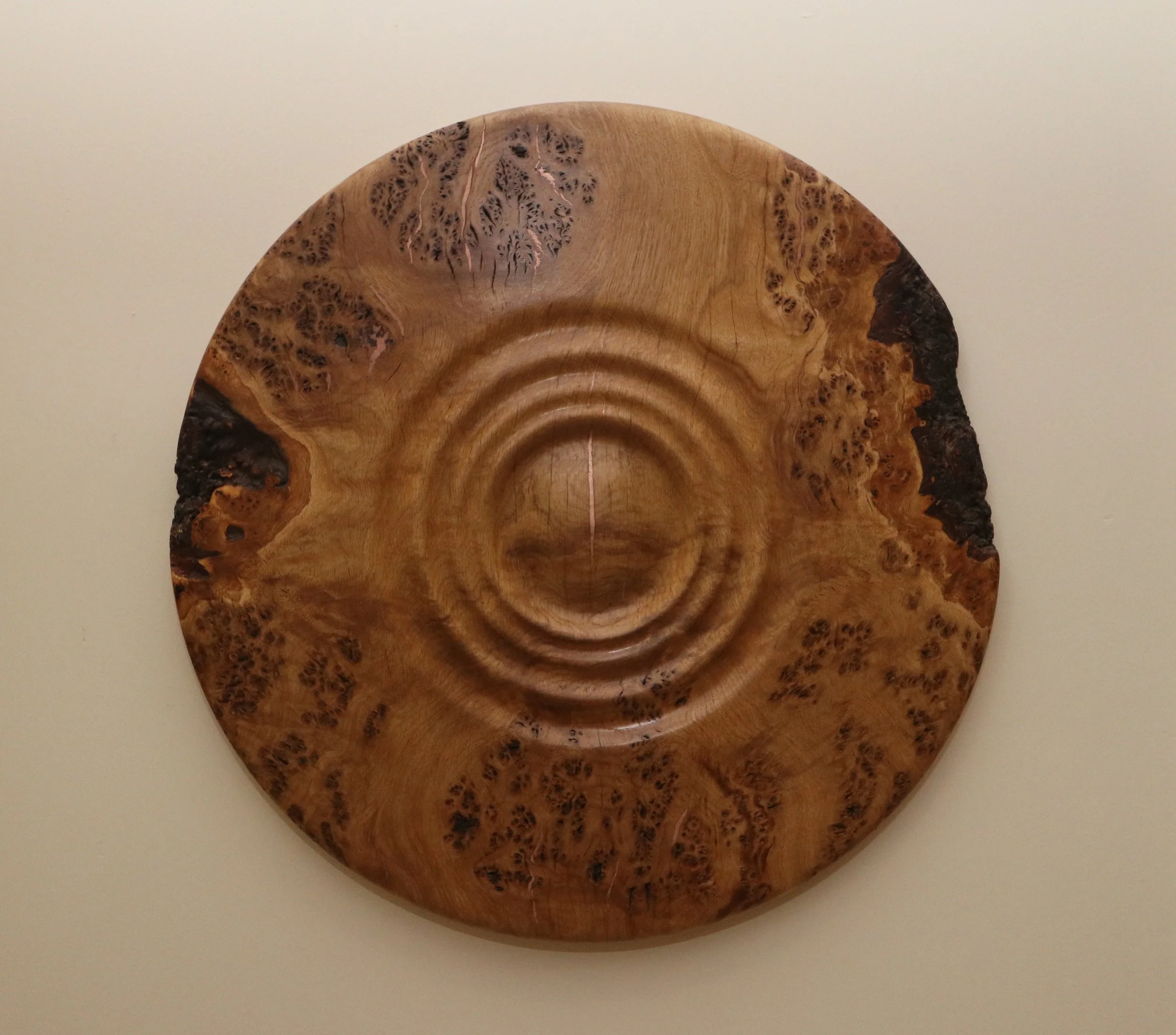 Wall Art - Wall Hanging - Cuprum Quercus - Shield