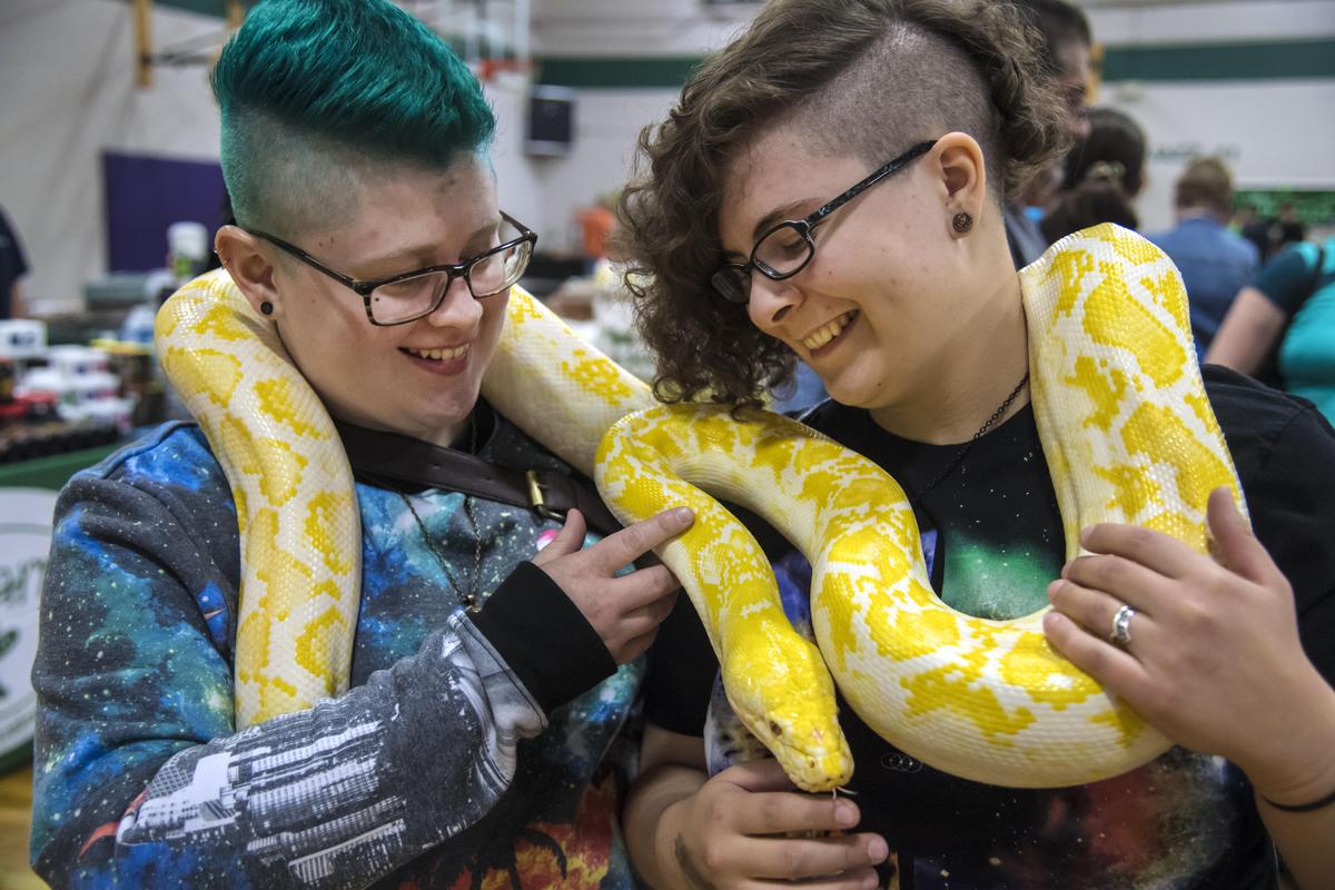SRX_REPTILE_EXPO_1_t1200.jpg